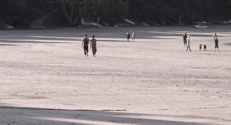  Evening walkers and dogs on Oneroa Beach